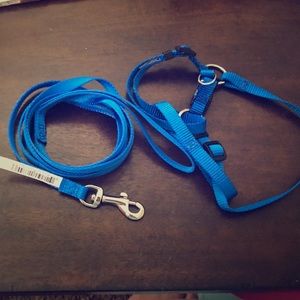 Leash and harness for small size dog 🐶💚